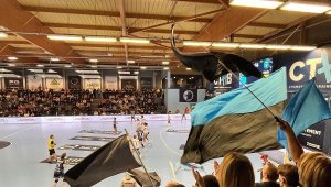 illustration agrandir l