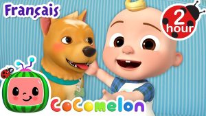 Chansons pour enfants : À la chasse au chien avec JJ