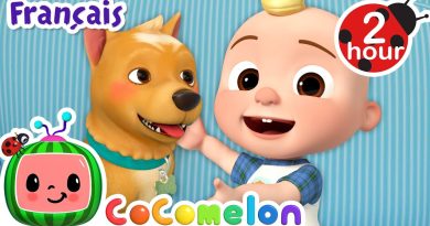 Chansons pour enfants : À la chasse au chien avec JJ