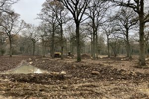 La Région organise les premières Assises du foncier forestier en Île-de-France