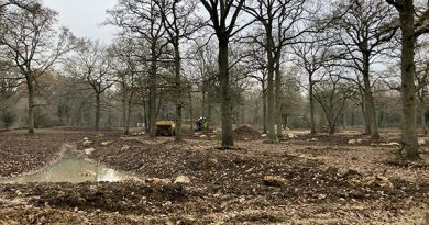 La Région organise les premières Assises du foncier forestier en Île-de-France