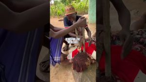 Chaque chose a sa signification