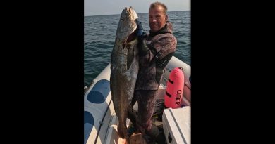 Chasse sous-marine en Loire-Atlantique : Édition 2025