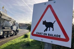 "Chat en balade" : quel est ce nouveau panneau de signalisation en Moselle ?