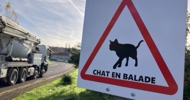 "Chat en balade" : quel est ce nouveau panneau de signalisation en Moselle ?