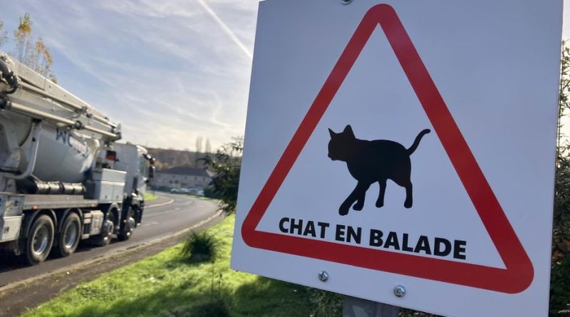 "Chat en balade" : quel est ce nouveau panneau de signalisation en Moselle ?