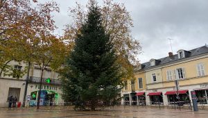 illustration agrandir l