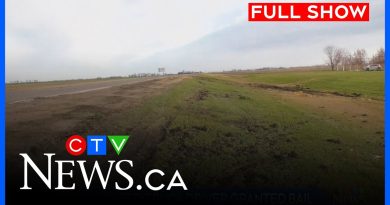 Chauffeur de camion accusé dans un accident mortel libéré sous caution