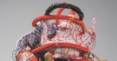 Chez les fous, derechef