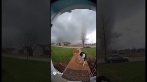Chien aspiré par une tornade : un moment tragique 💔