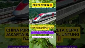 Chine : Le train à grande vitesse promet des bénéfices en 5 ans
