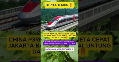 Chine : Le train à grande vitesse promet des bénéfices en 5 ans