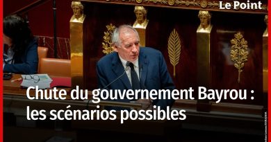 Chute du gouvernement Bayrou : scénarios à envisager