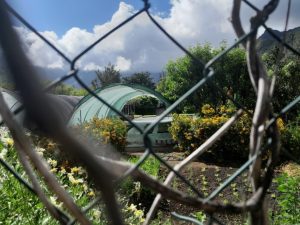 Cilaos : leur terrain frappé par une procédure de biens sans maitre.