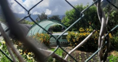 Cilaos : leur terrain frappé par une procédure de biens sans maitre.