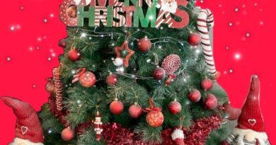 Cimes Argentées – traditionnel repas de Noël