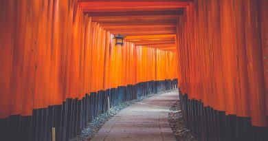 Japan,Tokyo,Mount Fuji,Sakura,Temple,Geisha,Sushi,Traditional culture,Cityscape,Shinto,Landscape