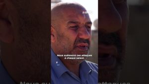 Cisjordanie : Cueillette d'olives sous la menace des colons