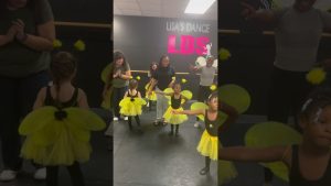 Classe d'été des bourdons LDS