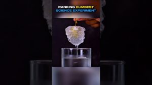 Classement des Expériences Scientifiques les Plus Absurdes