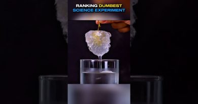 Classement des Expériences Scientifiques les Plus Absurdes