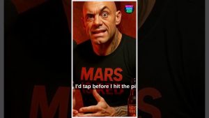 Clone Rogan : Sommeil, Rêves et Chasses Nocturnes