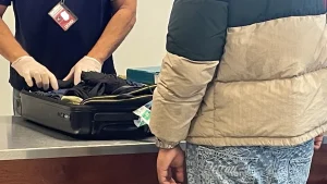 Cocaïne liquide dans un cubi de rhum, ovules ingérés, drogue dissimulée dans une pochette d'ordinateur... plusieurs saisies de cocaïne à l’aéroport Aimé-Césaire