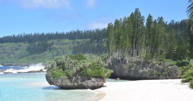 Cocaïne : plusieurs paquets suspects découverts à Maré