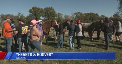 Coeurs et Sabots à Arcadia