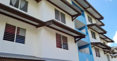 Cohabitation multigénérationnelle en Martinique : foyers féminisés et suroccupés, d'après l'Insee