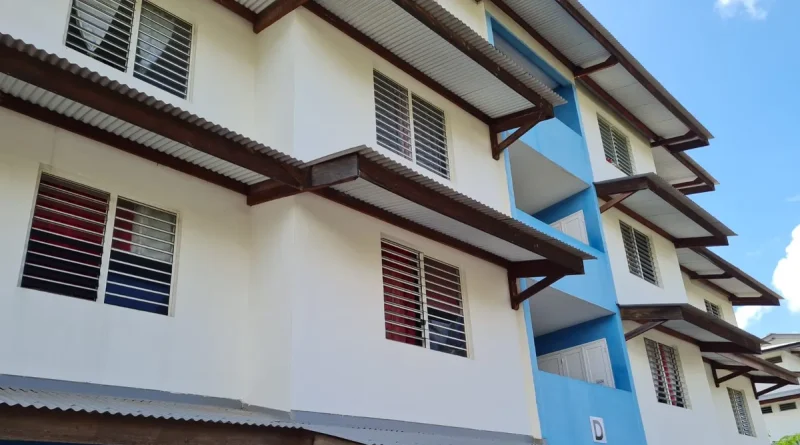 Cohabitation multigénérationnelle en Martinique : foyers féminisés et suroccupés, d'après l'Insee