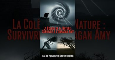 🌪️Colère d'Amy : Deux vies perdues, des milliers dans l'ombre