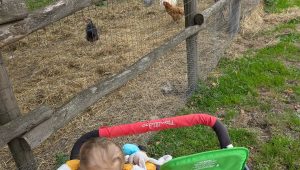 illustration agrandir l