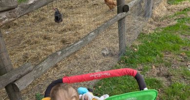 illustration agrandir l