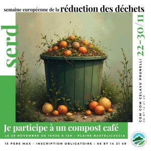 Communauté de Communes Celavu Prunelli : enjeux et projets de développement local