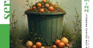 Communauté de Communes Celavu Prunelli : enjeux et projets de développement local