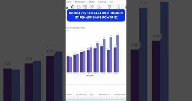 Comparer les salaires Hommes/Femmes avec Power BI