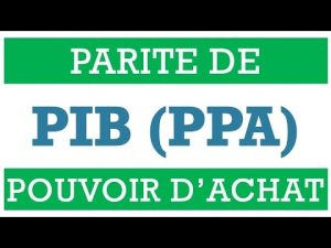 Comprendre la Parité de Pouvoir d'Achat (PPA) du PIB