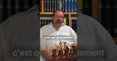 Comprendre la garde partagée en toute simplicité !