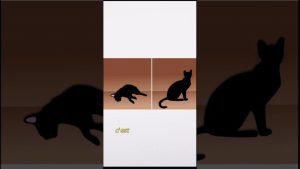 Comprendre la physique quantique en toute simplicité