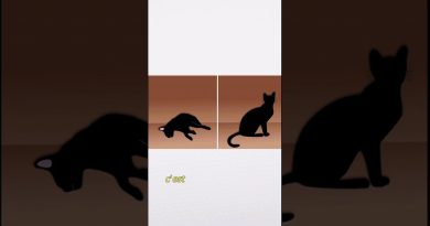 Comprendre la physique quantique en toute simplicité