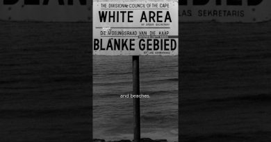 Comprendre l'apartheid : Guide rapide et essentiel