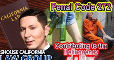 Comprendre le délit de 'Contribuer à la délinquance juvénile'