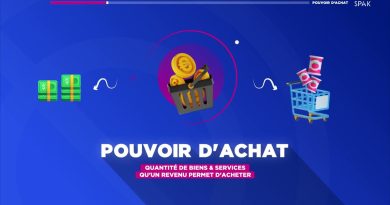 Comprendre le pouvoir d'achat : enjeux et définitions