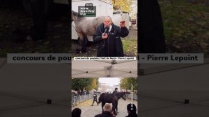 Concours de poulains Trait du Nord avec Pierre Lepoint