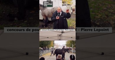 Concours de poulains Trait du Nord avec Pierre Lepoint