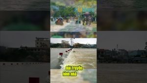 Confiance en CEO Nguyễn Phương Hằng surpasse celle dans l'État