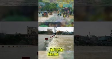 Confiance en CEO Nguyễn Phương Hằng surpasse celle dans l'État