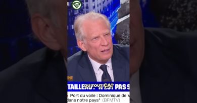 Confrontation entre Villepin et Duhamel !