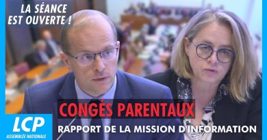 Congés parentaux : rapport de la mission d'information